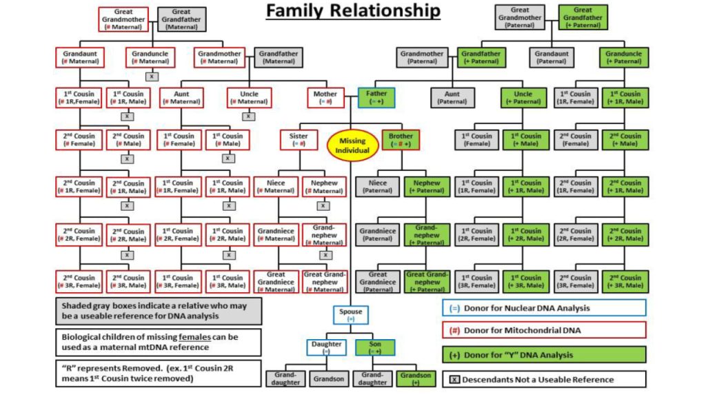 DNA Donor Chart