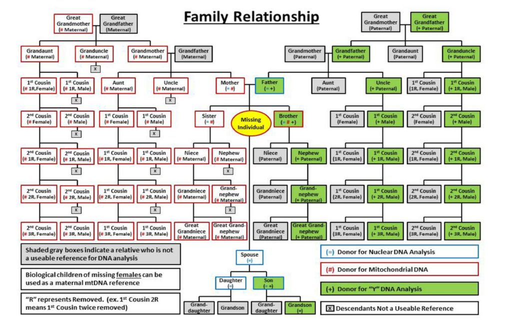 DPAA DNA Chart